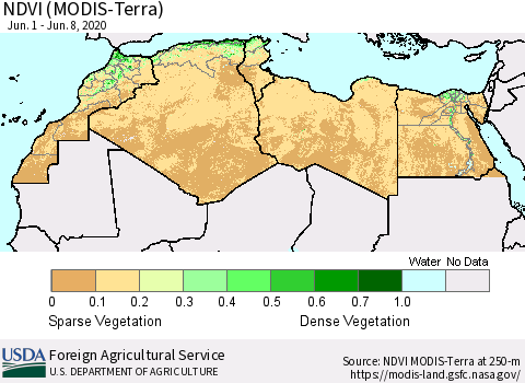 North Africa NDVI (Terra-MODIS) Thematic Map For 6/1/2020 - 6/10/2020