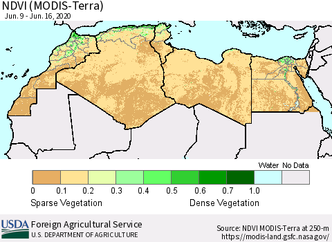 North Africa NDVI (Terra-MODIS) Thematic Map For 6/11/2020 - 6/20/2020