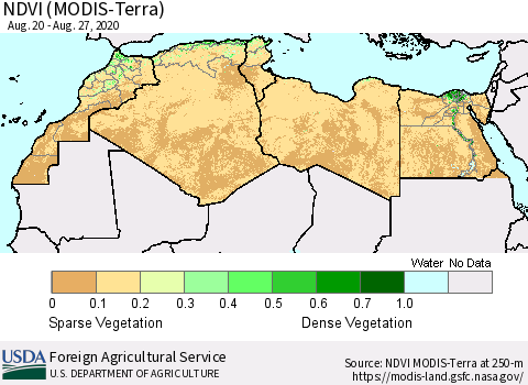 North Africa NDVI (Terra-MODIS) Thematic Map For 8/21/2020 - 8/31/2020
