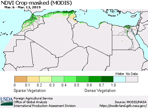 North Africa Cropland NDVI (Terra-MODIS) Thematic Map For 3/11/2019 - 3/20/2019