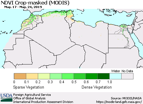 North Africa Cropland NDVI (Terra-MODIS) Thematic Map For 5/21/2019 - 5/31/2019