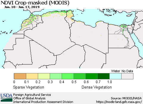 North Africa Cropland NDVI (Terra-MODIS) Thematic Map For 6/11/2019 - 6/20/2019