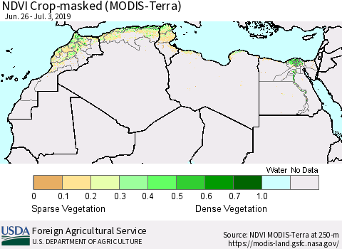 North Africa Cropland NDVI (Terra-MODIS) Thematic Map For 7/1/2019 - 7/10/2019