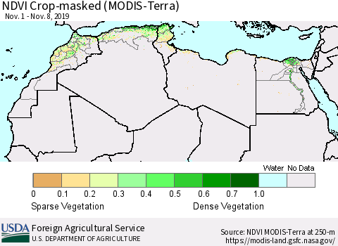 North Africa Cropland NDVI (Terra-MODIS) Thematic Map For 11/1/2019 - 11/10/2019