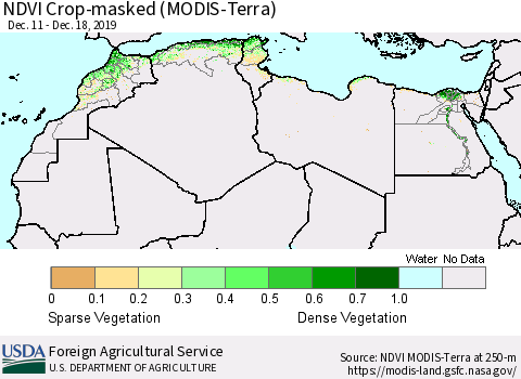 North Africa Cropland NDVI (Terra-MODIS) Thematic Map For 12/11/2019 - 12/20/2019