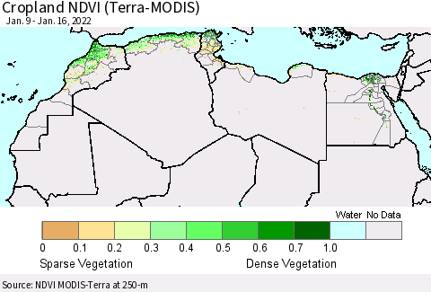 North Africa Cropland NDVI (Terra-MODIS) Thematic Map For 1/9/2022 - 1/16/2022