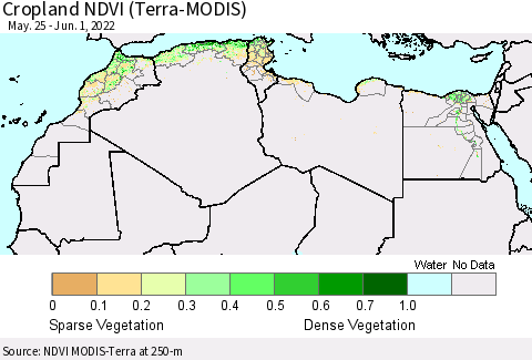 North Africa Cropland NDVI (Terra-MODIS) Thematic Map For 5/25/2022 - 6/1/2022