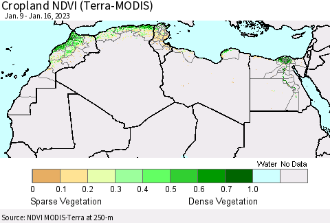 North Africa Cropland NDVI (Terra-MODIS) Thematic Map For 1/9/2023 - 1/16/2023