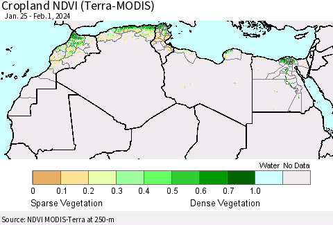 North Africa Cropland NDVI (Terra-MODIS) Thematic Map For 1/25/2024 - 2/1/2024