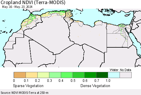 North Africa Cropland NDVI (Terra-MODIS) Thematic Map For 5/16/2024 - 5/23/2024