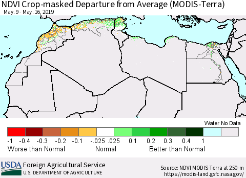 North Africa Cropland NDVI Departure from Average (Terra-MODIS) Thematic Map For 5/11/2019 - 5/20/2019