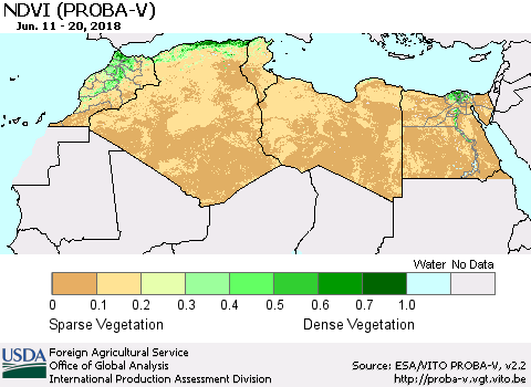 North Africa NDVI (PROBA-V) Thematic Map For 6/11/2018 - 6/20/2018