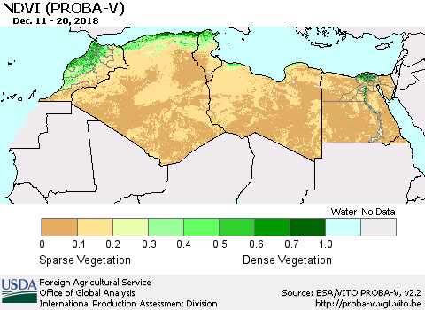 North Africa NDVI (PROBA-V) Thematic Map For 12/11/2018 - 12/20/2018