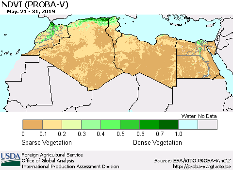 North Africa NDVI (PROBA-V) Thematic Map For 5/21/2019 - 5/31/2019