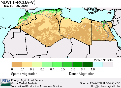 North Africa NDVI (PROBA-V) Thematic Map For 1/11/2020 - 1/20/2020
