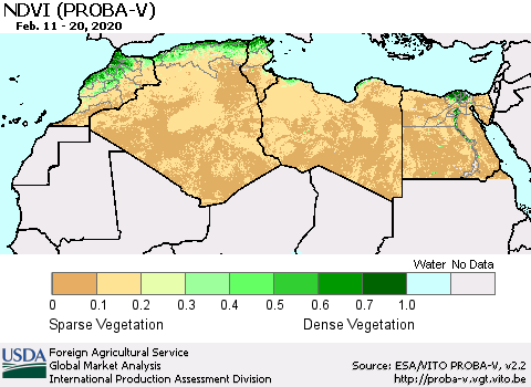 North Africa NDVI (PROBA-V) Thematic Map For 2/11/2020 - 2/20/2020