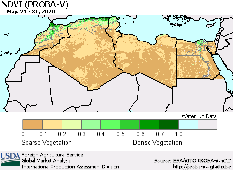 North Africa NDVI (PROBA-V) Thematic Map For 5/21/2020 - 5/31/2020