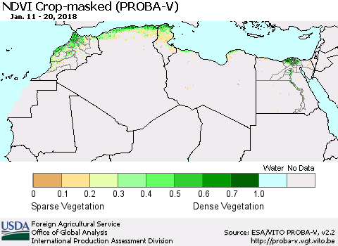 North Africa NDVI Crop-masked (PROBA-V) Thematic Map For 1/11/2018 - 1/20/2018