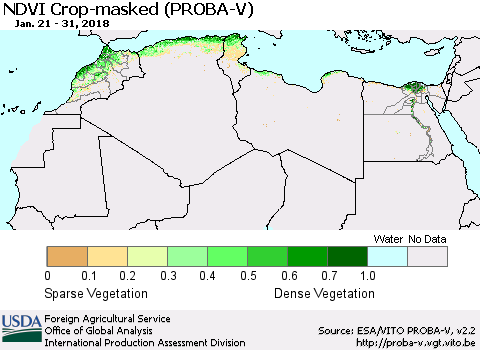 North Africa NDVI Crop-masked (PROBA-V) Thematic Map For 1/21/2018 - 1/31/2018