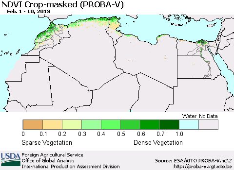 North Africa NDVI Crop-masked (PROBA-V) Thematic Map For 2/1/2018 - 2/10/2018