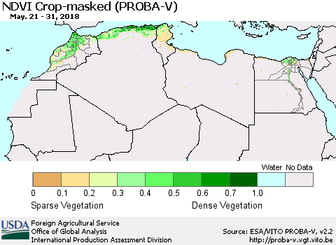 North Africa NDVI Crop-masked (PROBA-V) Thematic Map For 5/21/2018 - 5/31/2018