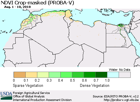 North Africa NDVI Crop-masked (PROBA-V) Thematic Map For 8/1/2018 - 8/10/2018