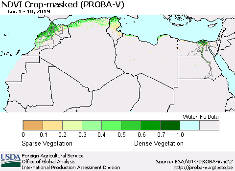 North Africa NDVI Crop-masked (PROBA-V) Thematic Map For 1/1/2019 - 1/10/2019