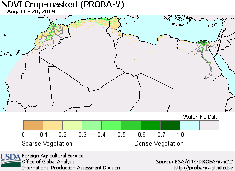 North Africa NDVI Crop-masked (PROBA-V) Thematic Map For 8/11/2019 - 8/20/2019