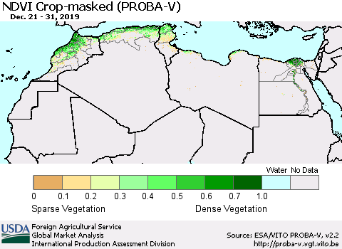 North Africa NDVI Crop-masked (PROBA-V) Thematic Map For 12/21/2019 - 12/31/2019