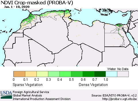 North Africa NDVI Crop-masked (PROBA-V) Thematic Map For 1/1/2020 - 1/10/2020