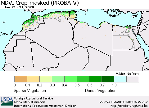North Africa NDVI Crop-masked (PROBA-V) Thematic Map For 1/21/2020 - 1/31/2020