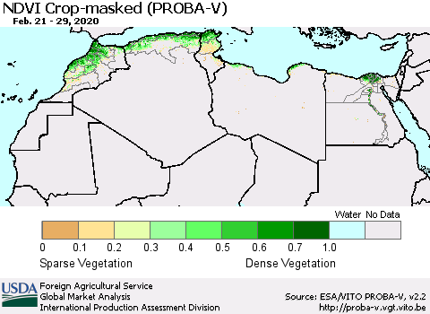 North Africa NDVI Crop-masked (PROBA-V) Thematic Map For 2/21/2020 - 2/29/2020