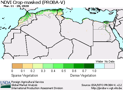 North Africa NDVI Crop-masked (PROBA-V) Thematic Map For 3/11/2020 - 3/20/2020