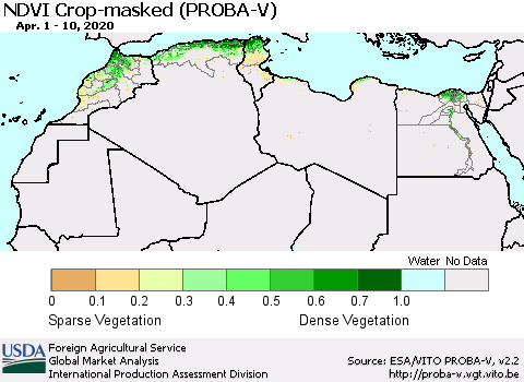 North Africa NDVI Crop-masked (PROBA-V) Thematic Map For 4/1/2020 - 4/10/2020
