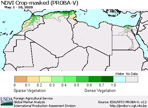 North Africa NDVI Crop-masked (PROBA-V) Thematic Map For 5/1/2020 - 5/10/2020