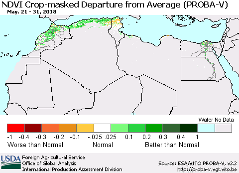 North Africa NDVI Crop-masked Departure from Average (PROBA-V) Thematic Map For 5/21/2018 - 5/31/2018