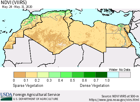 North Africa NDVI (VIIRS) Thematic Map For 5/21/2020 - 5/31/2020