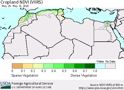 North Africa Cropland NDVI (VIIRS) Thematic Map For 5/21/2020 - 5/31/2020