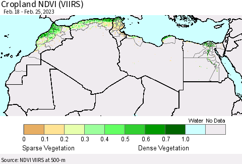 North Africa Cropland NDVI (VIIRS) Thematic Map For 2/18/2023 - 2/25/2023