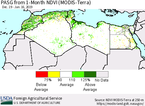 North Africa PASG from 1-Month NDVI (Terra-MODIS) Thematic Map For 1/11/2019 - 1/20/2019