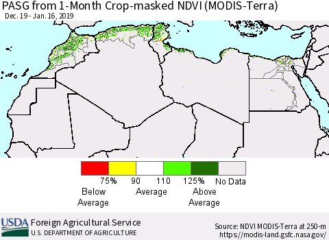 North Africa PASG from 1-Month Cropland NDVI (Terra-MODIS) Thematic Map For 1/11/2019 - 1/20/2019