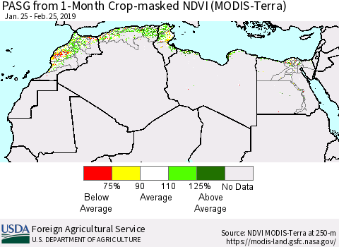 North Africa PASG from 1-Month Cropland NDVI (Terra-MODIS) Thematic Map For 2/21/2019 - 2/28/2019