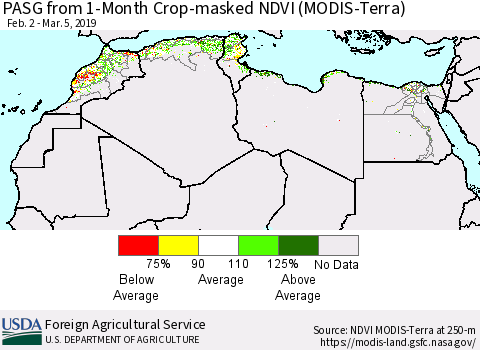 North Africa PASG from 1-Month Cropland NDVI (Terra-MODIS) Thematic Map For 3/1/2019 - 3/10/2019