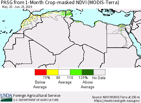 North Africa PASG from 1-Month Cropland NDVI (Terra-MODIS) Thematic Map For 6/21/2019 - 6/30/2019