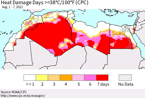 North Africa Heat Damage Days >=38°C/100°F (CPC) Thematic Map For 8/1/2022 - 8/7/2022