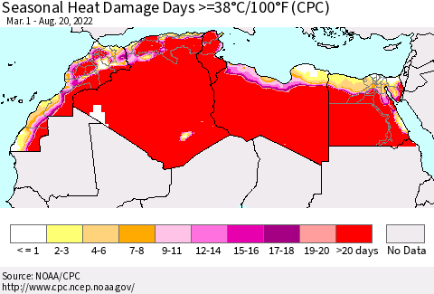 North Africa Seasonal Heat Damage Days >=38°C/100°F (CPC) Thematic Map For 3/1/2022 - 8/20/2022