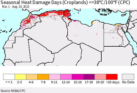 North Africa Seasonal Heat Damage Days (Croplands) >=38°C/100°F (CPC) Thematic Map For 3/1/2023 - 8/20/2023