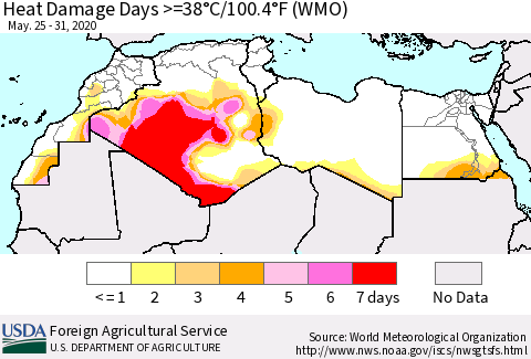 North Africa Heat Damage Days >=38°C/100°F (WMO) Thematic Map For 5/25/2020 - 5/31/2020