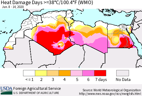 North Africa Heat Damage Days >=38°C/100°F (WMO) Thematic Map For 6/8/2020 - 6/14/2020