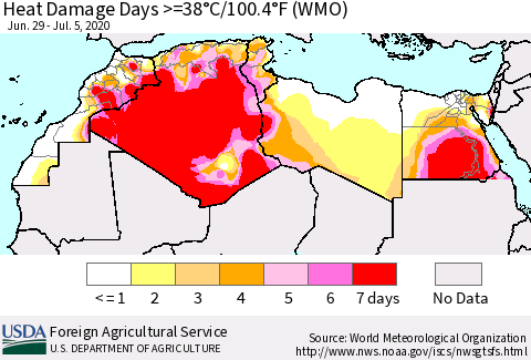 North Africa Heat Damage Days >=38°C/100°F (WMO) Thematic Map For 6/29/2020 - 7/5/2020